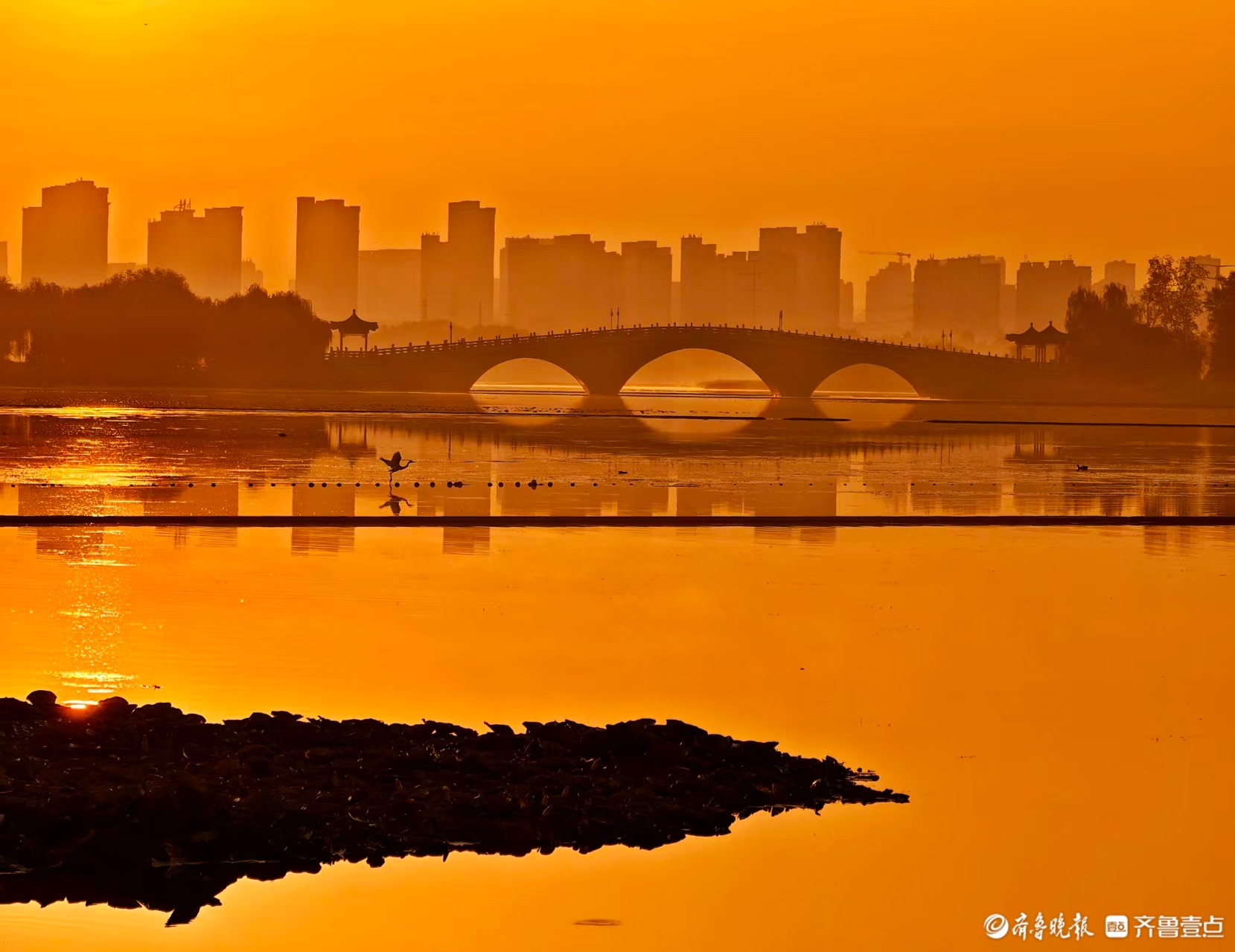 华山湖“湖”拍 | 晨光中的白鹭