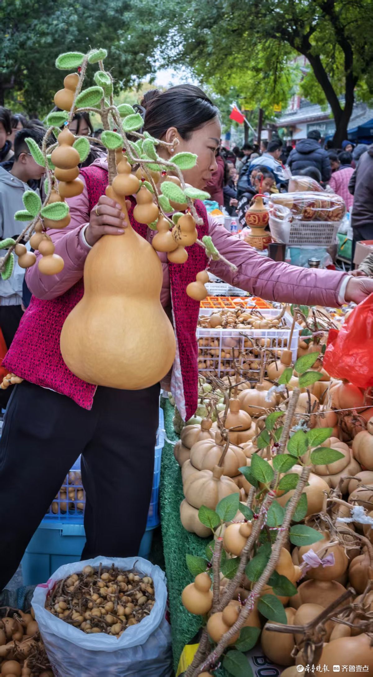 俞见|把葫芦带回家