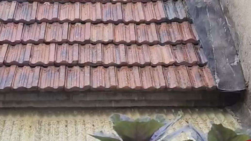 天气情报站|下雨啦！济南午间迎来降雨，出门记得带好雨具