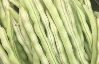 吃芸豆 这个细节关乎健康
