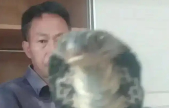 湖南一男子直播挖蛇被咬，就医后嫌血清贵未注射自行离开失联