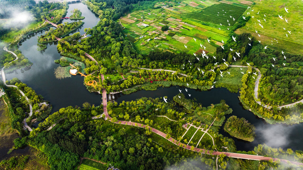 决胜“十四五”|潍坊林草产业总产值超500亿元