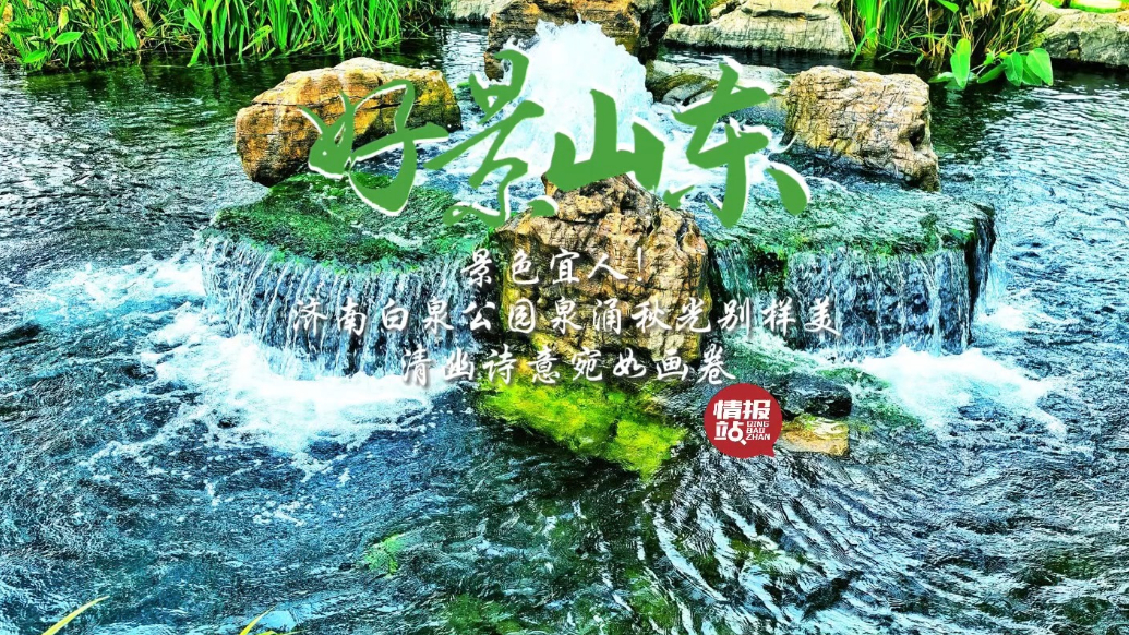 果然视频·好景山东|打卡济南白泉公园清幽诗意，泉涌秋光别样美