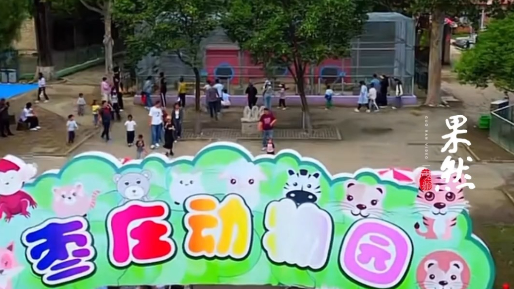 果然视频|30岁可享老人门票优惠？枣庄动物园重阳节推出“老年人专享”福利引热议