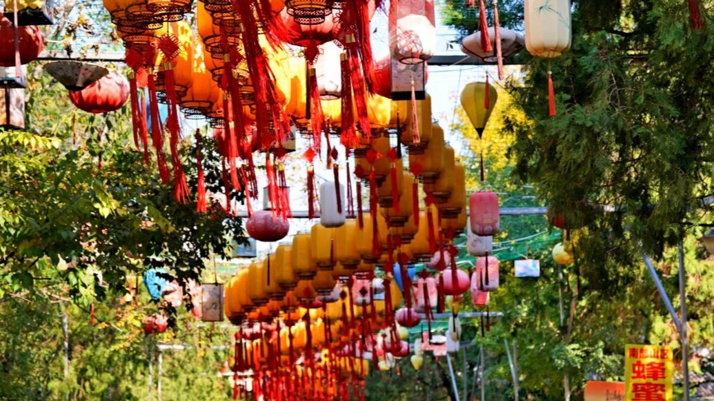 情报站|热闹！重阳节济南千佛山美食飘香戏曲唱，赏景游玩好惬意