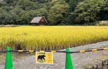 中国驻札幌总领馆再次提醒领区公民警惕“熊出没”