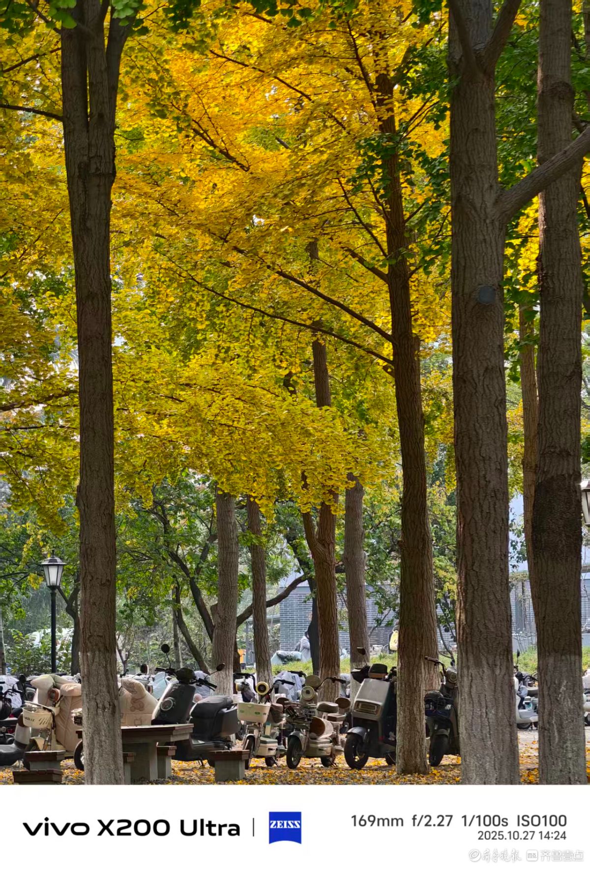 校园里的色彩，我在记录