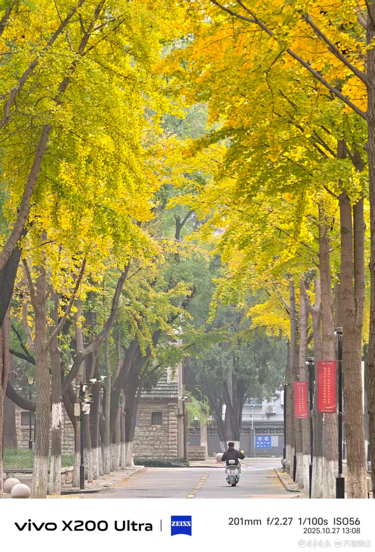 校园里的色彩，我在记录