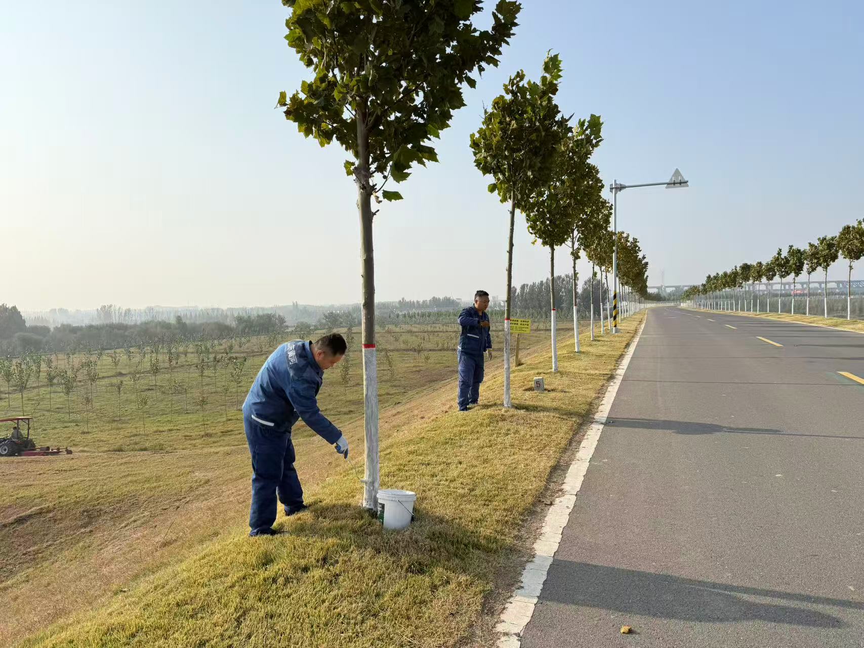 东营黄河曹店管理段：秋末工程管护正当时