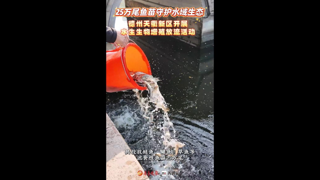 25万尾鱼苗守护水域生态！天衢新区开展水生生物增殖放流活动