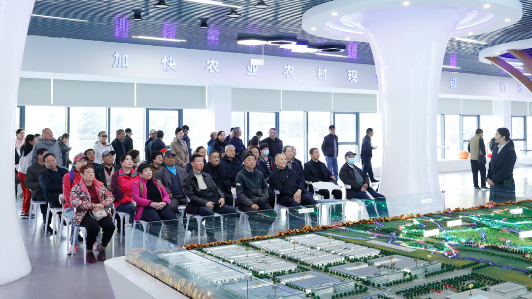 临沂市自然资源和规划局组织离退休干部开展重阳节主题活动