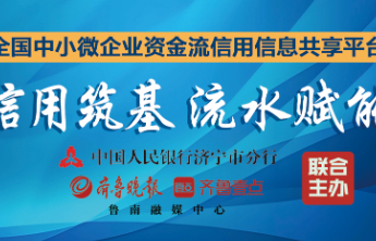 资金流信息平台③强化资金流信息平台应用，畅通小微企业资金血脉