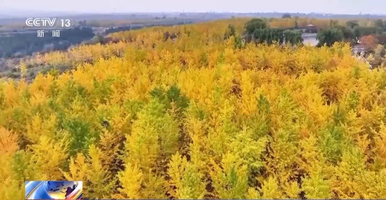 多地秋天“迟到早退”，秋季为何越来越短了？