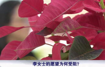 用亡夫胚胎求做试管二胎遭拒获改判，看见背后的法理与温情