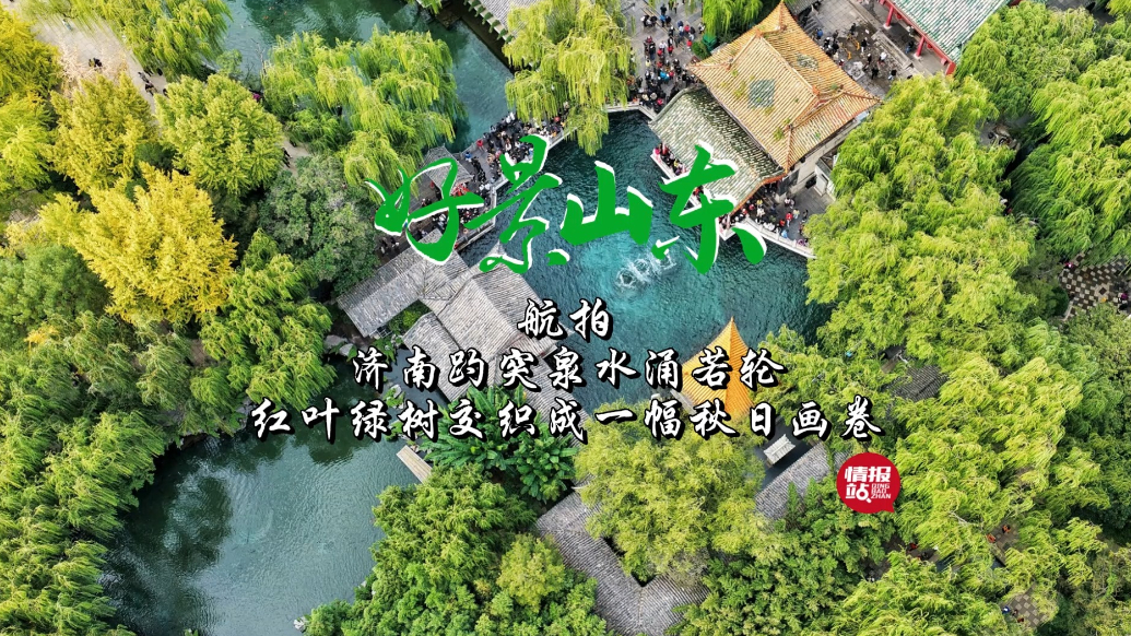 果然视频·好景山东|济南趵突泉水涌若轮，红叶与绿树交叠成画