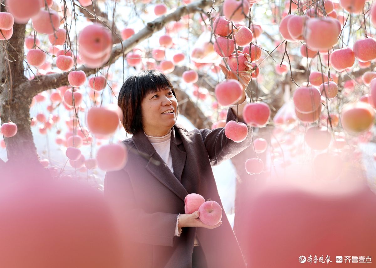 果香满园 ，景美人和