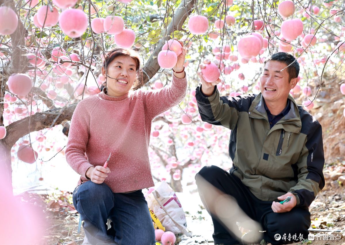 果香满园 ，景美人和