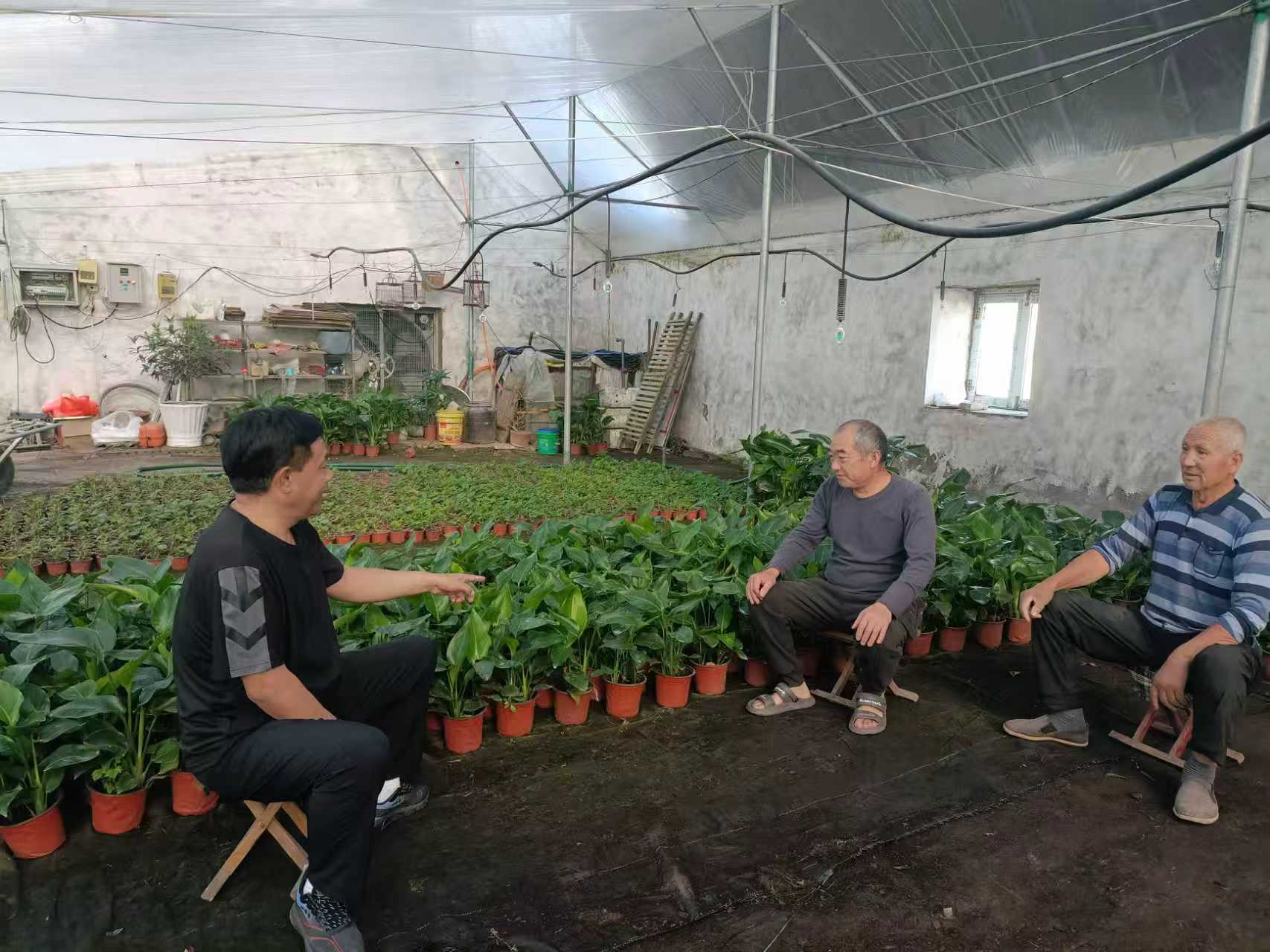 驻村“助村”，潍坊市直派驻青州市第一书记工作队的“实干答卷”