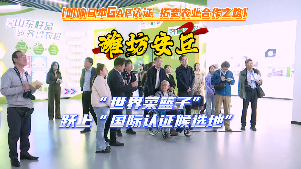 果然视频|潍坊安丘：“世界菜篮子”跃上“国际认证候选地”