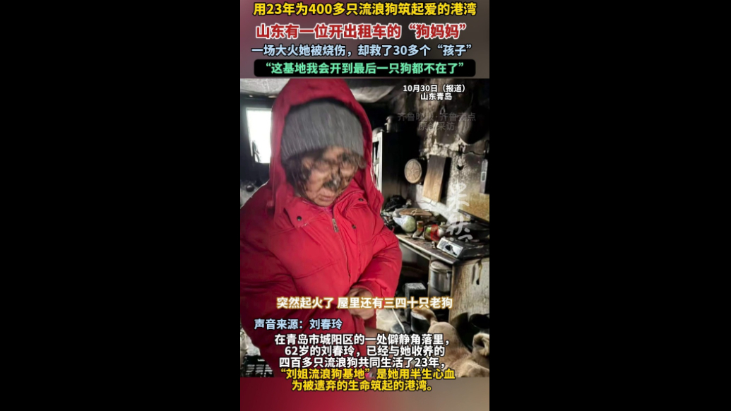 果然视频|从出租车司机到“狗妈妈”，她用23年筑起爱的港湾