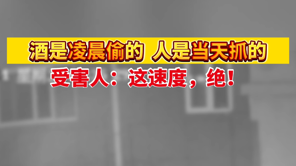 果然视频|凌晨作案当天落网，潍坊临朐公安神速破获储藏室盗窃案