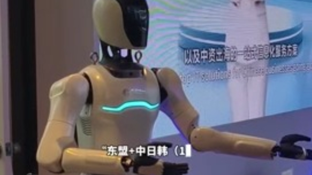 果然视频|“东盟＋中日韩（10+3）人工智能产业发展论坛”今日举办，多家企业参展