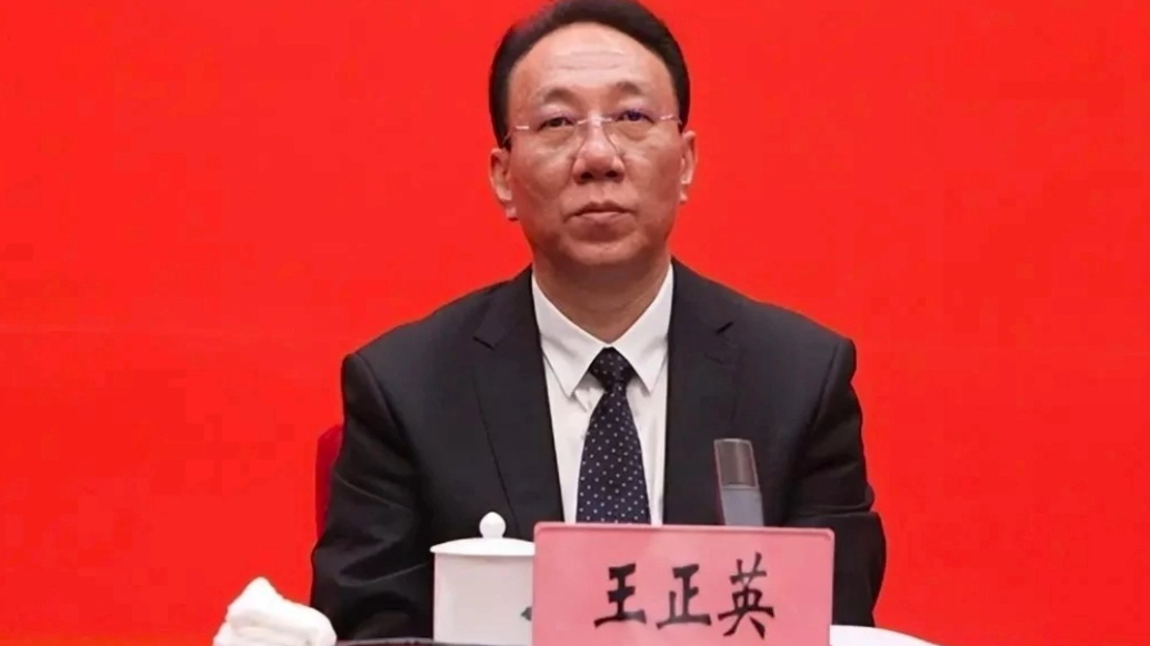 观政视频|王正英任云南省委常委