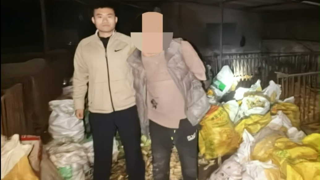 果然视频｜两男子偷玉米被抓，禹城警方快速破获一起盗窃案