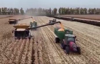 秋粮收获接近尾声，山东全省秋粮收获超93%