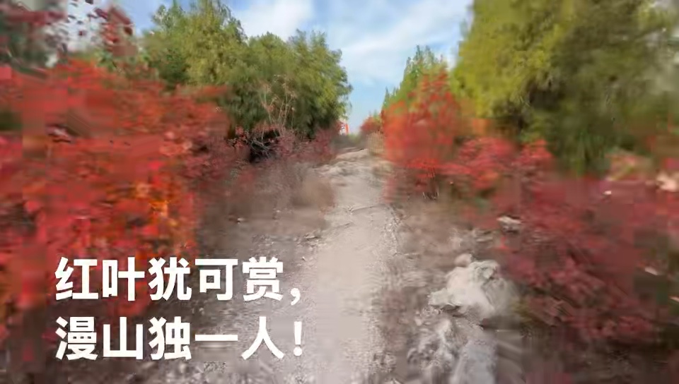 红叶犹可赏，漫山独一人。误入桃源处，五柳对话亲.摄影冯增木