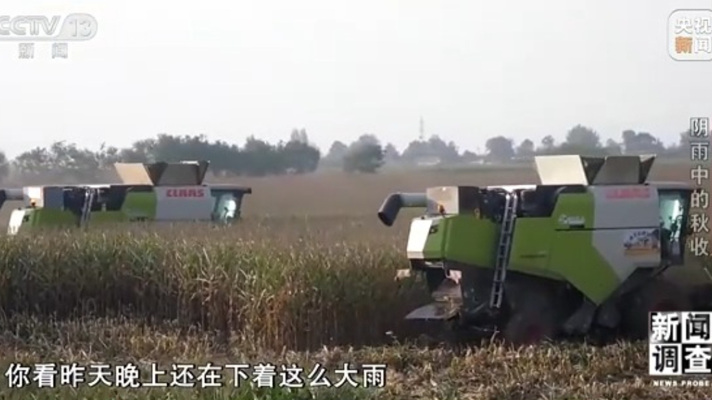 秋收遇上阴雨连绵，如何抢收？