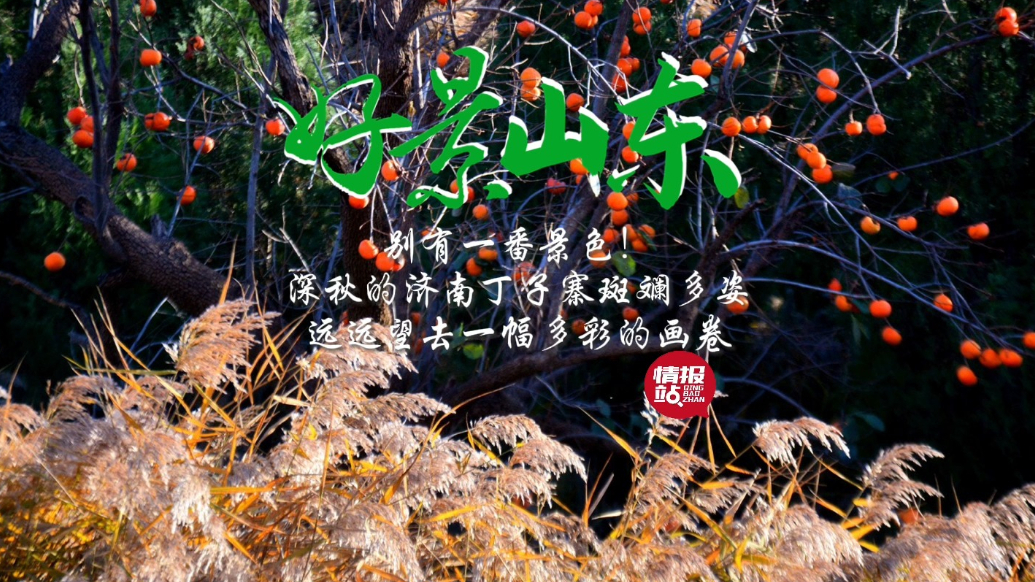 果然视频·好景山东|深秋济南丁子寨斑斓多姿，秋景如画别有一景