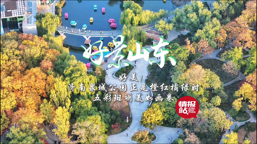 果然视频·好景山东|泉城公园正是橙红橘绿时，五彩斑斓美如画卷