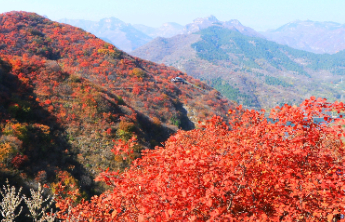 壹点日历11.3|早安！别让恐惧夺走可能，未来属于不服输的人