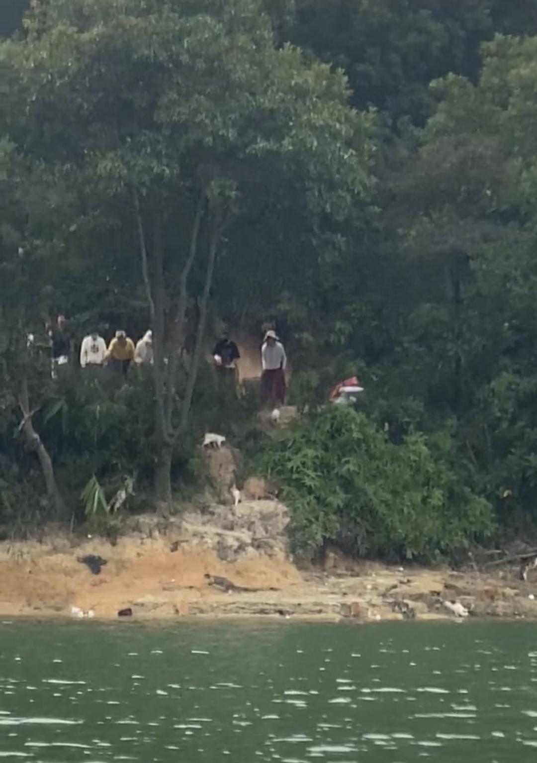 一水库边被放生大量猫：目击者称已救起3只，警方将追查放生者