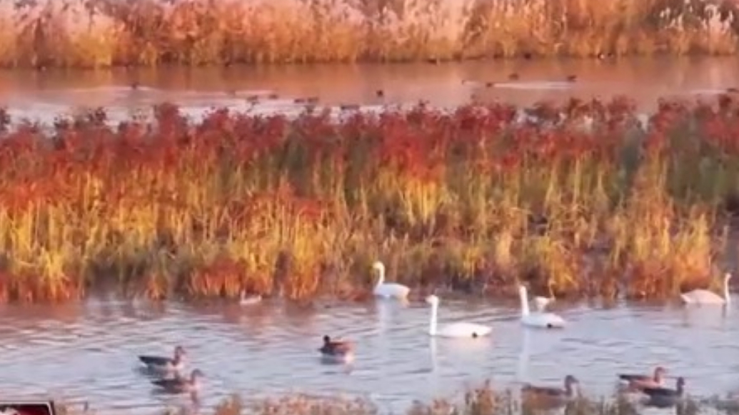 错峰出游持续升温！走，一起去看秋季美景