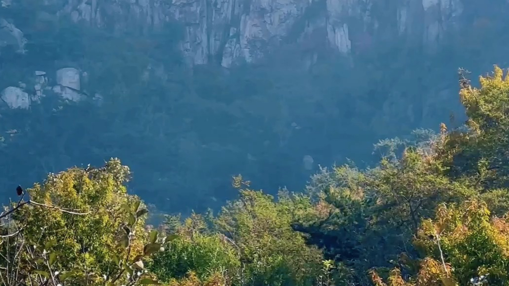 果然视频｜可赏景可采摘，栖霞苏家店打造高山老树条纹富士采摘园