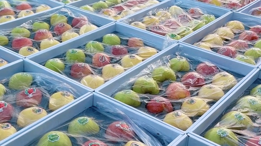 果然视频｜一箱苹果 多种口味！烟台苹果多品种组合装受欢迎