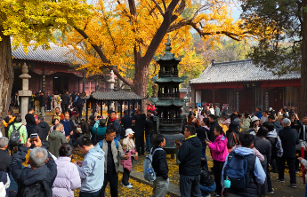 秋日限定美景已上线，济南邀您共赴金秋之约