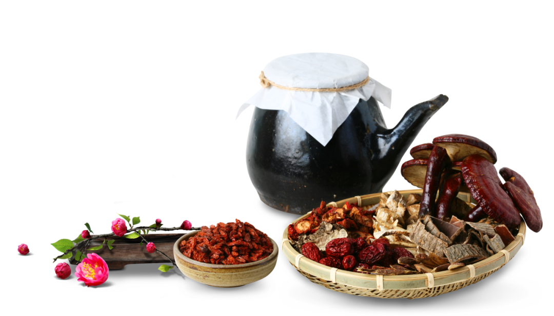 怎么开医药器材11月9日（周日），新泰市第十二届膏方养生文化节正式开启！_https://www.jmylbn.com_新闻资讯_第11张