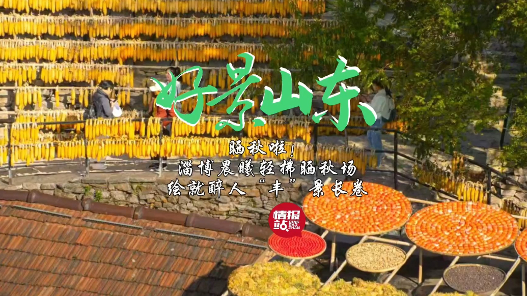 果然视频·好景山东|淄博晨曦轻拂晒秋场，绘就醉人“丰”景长卷