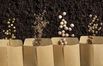 被间谍盯上的亲本种子是什么？外流后果有多严重？