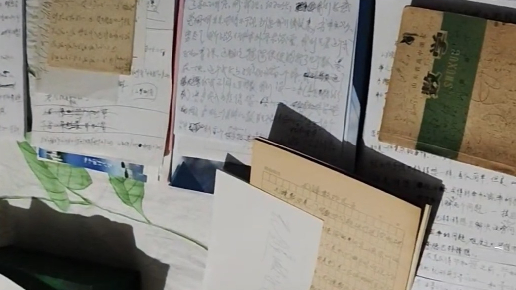 果然视频｜保洁爷爷回应“闭门造车”质疑：别人的看法，不以为然