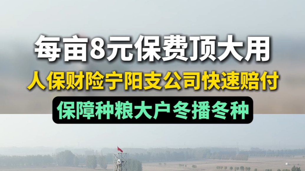 果然视频丨每亩8元保费顶大用，人保财险宁阳支公司快速赔付，保障种粮大户冬播冬种