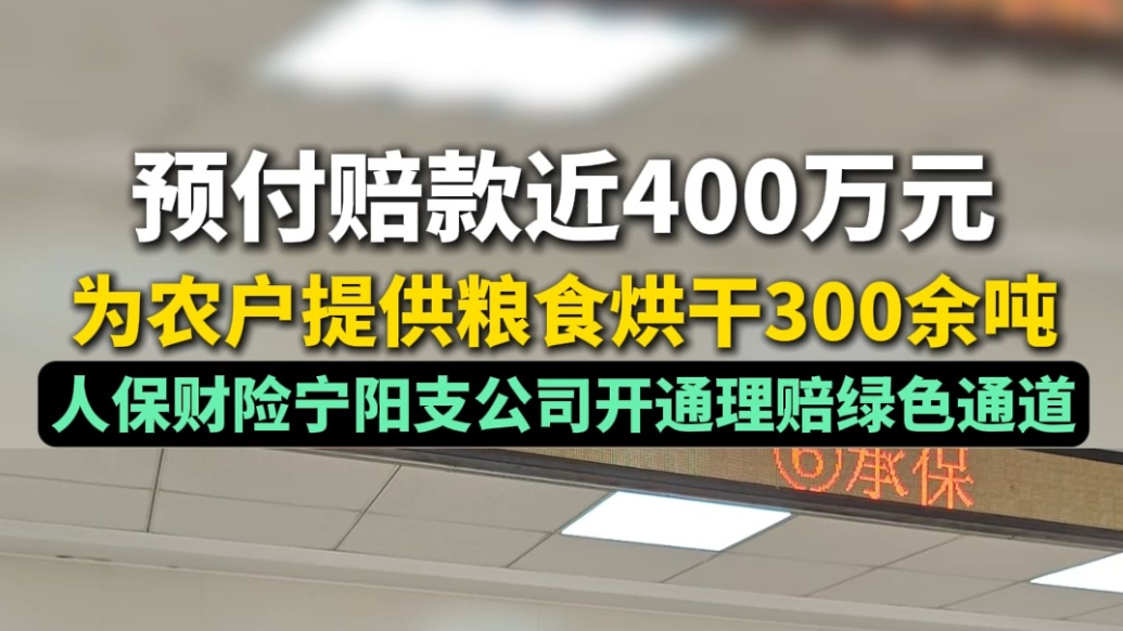 果然视频丨预付赔款近400万元，为农户提供粮食烘干300余吨，人保财险宁阳支公司开通理赔绿色通道