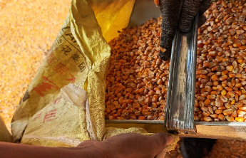 果然视频丨每亩8元保费顶大用！宁阳人保财险田间定损“快赔”助抢种