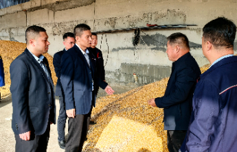 每亩8元保费顶大用！宁阳人保财险田间定损“快赔”助抢种