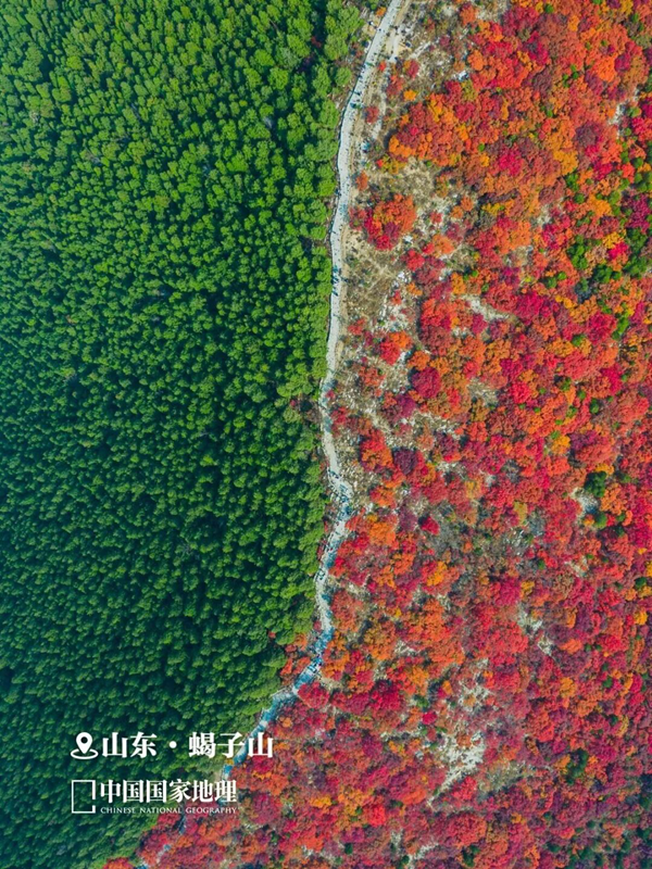 Capture Shandong's seasonal surprise of nature