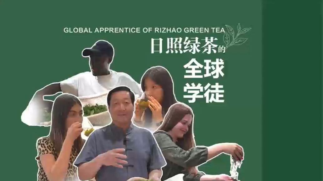 Discover Rizhao green tea's heritage with global students