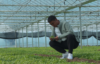 从小村到全国，金乡90后3年种出1亿株“致富苗”